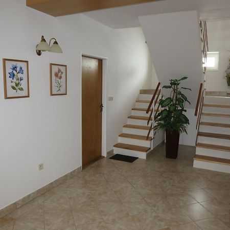 Selsky Dvur 1 Otel Police nad Metují Dış mekan fotoğraf